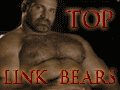 Top link bears